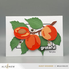 Dies Sweet Apricots Layering Die Set