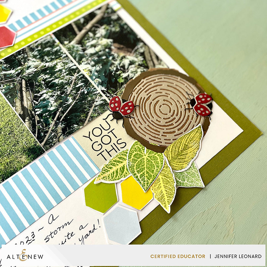 Dies Wood Cookie Die Set