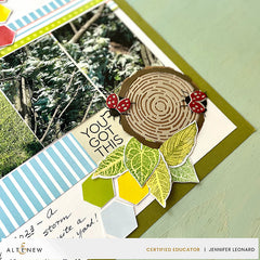 Dies Wood Cookie Die Set
