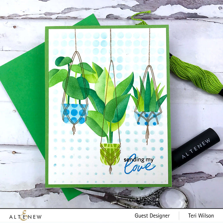 Dynamic Duo Dynamic Duo: Hanging Houseplants