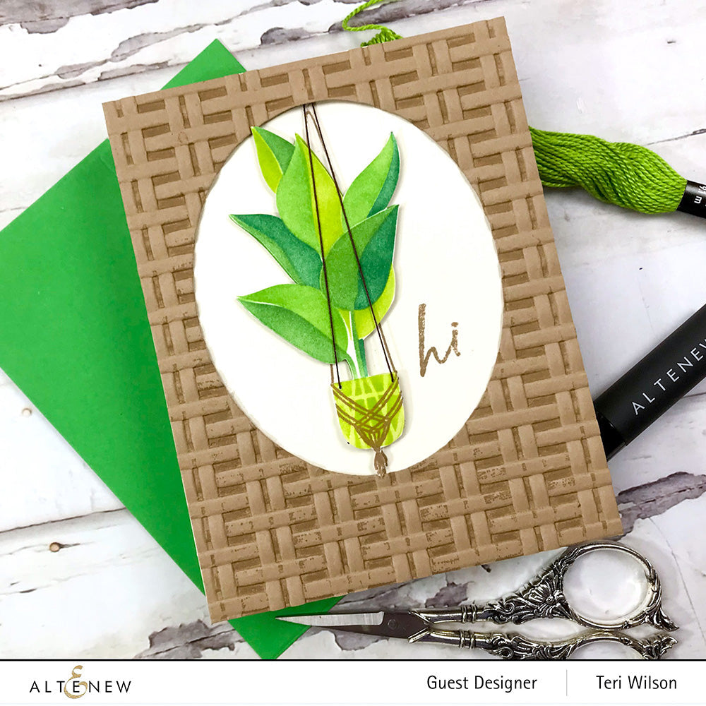 Dynamic Duo Dynamic Duo: Hanging Houseplants