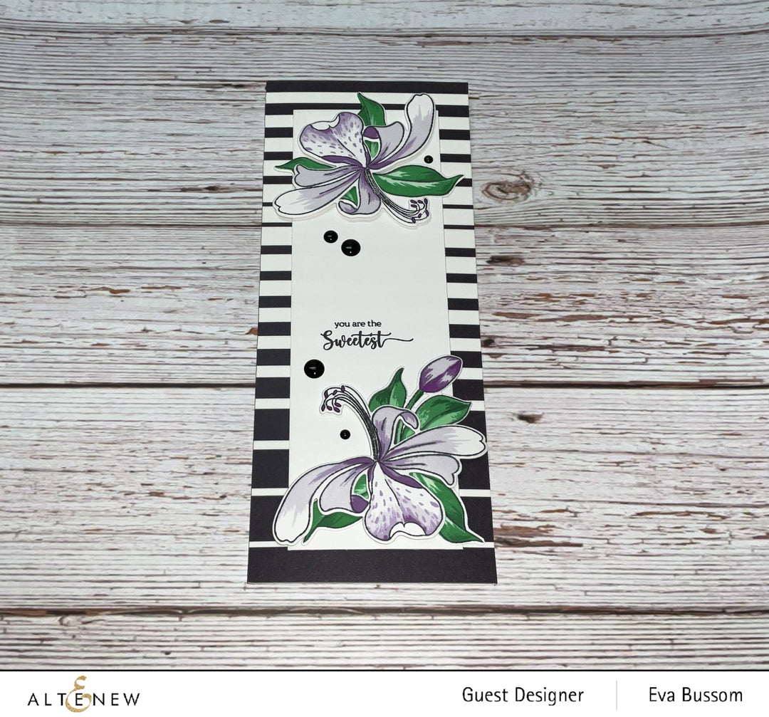 Embellishments Essential Black & White Enamel Dots