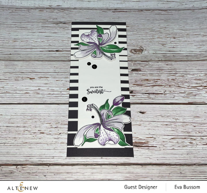 Embellishments Essential Black & White Enamel Dots