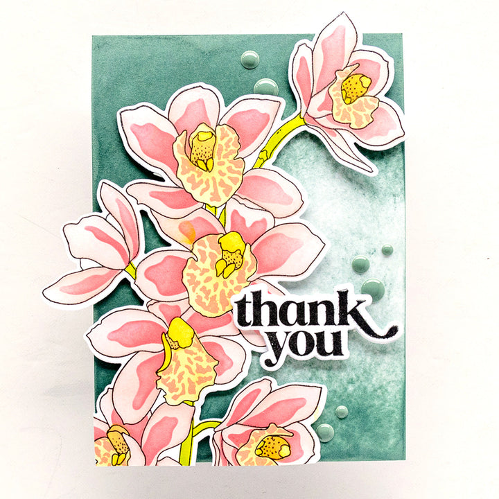Embellishments Misty Harbor Promo Enamel Dots