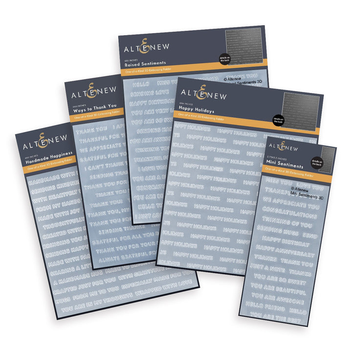 Embossing Folder Bundle Exceptional Embossed Sentimets