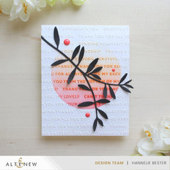 Embossing Folder Bundle Exceptional Embossed Sentimets