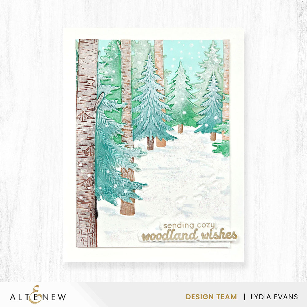 Embossing Folder Snowy Footpath 3D Embossing Folder
