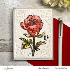 Embossing Folder Storybook Frame 3D Embossing Folder