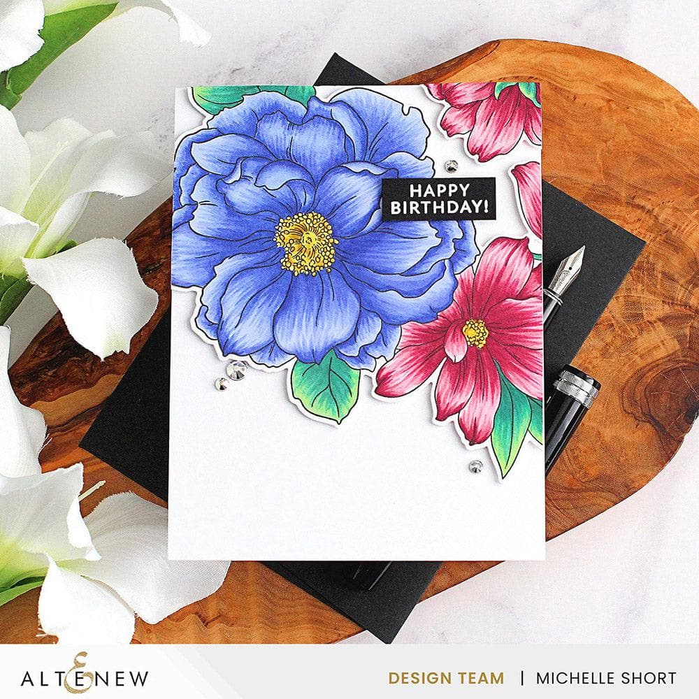 High Value Bundle Layering Dies & Cardstock Essentials Set