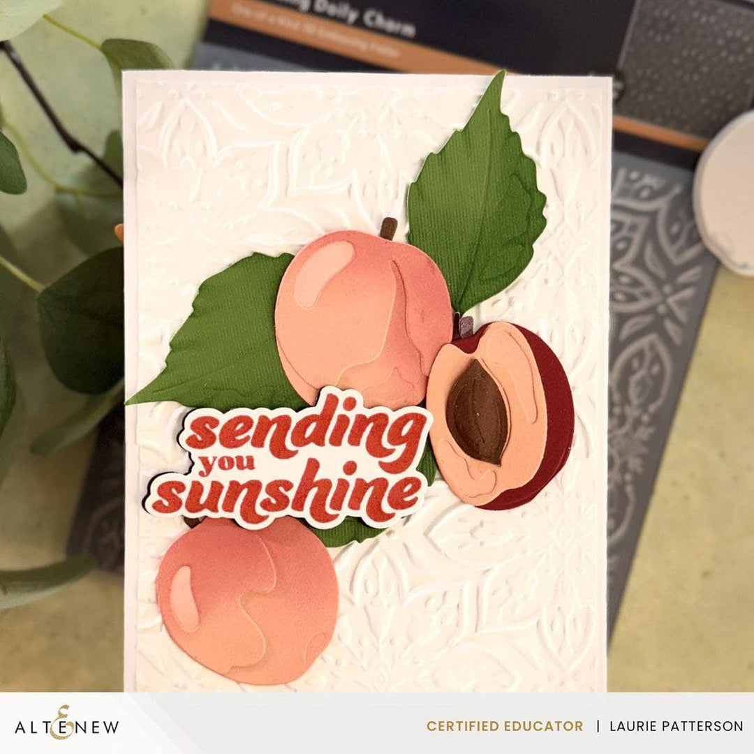 High Value Bundle Ultimate Zero-Waste Crafting Essentials Set