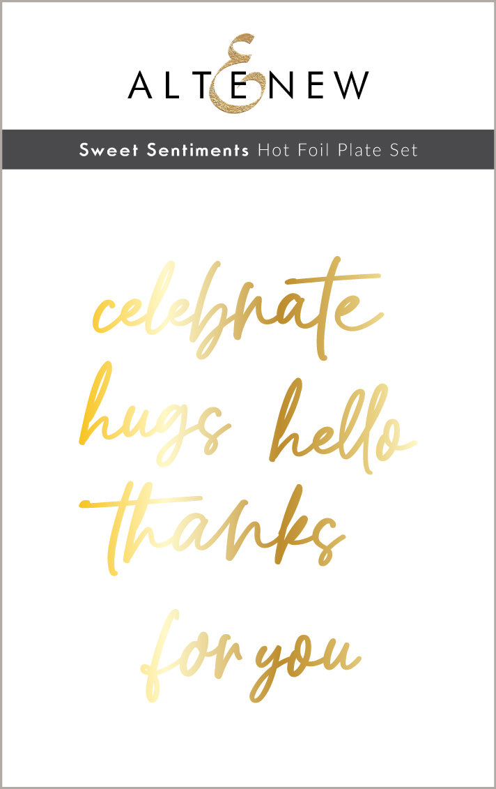 Hot Foil Plate & Die Bundle Sweet Sentiments