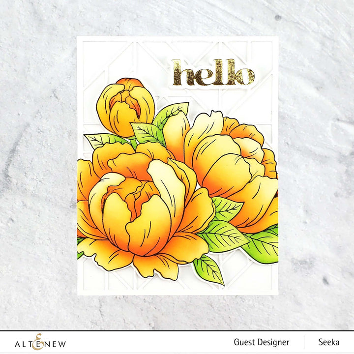 Hot Foil Plate & Die Bundle Versatile Greetings