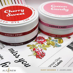Ink Bundle Carnival Magic Fresh Dye Ink