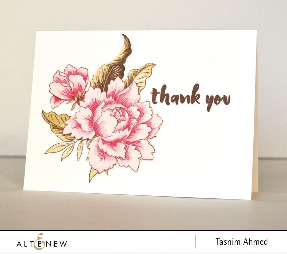 Ink Bundle ChromaBloom Delights Fresh Dye Ink Bundle