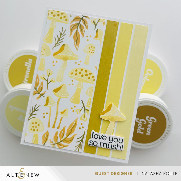 Ink Bundle Nature’s Wonders Fresh Dye Ink