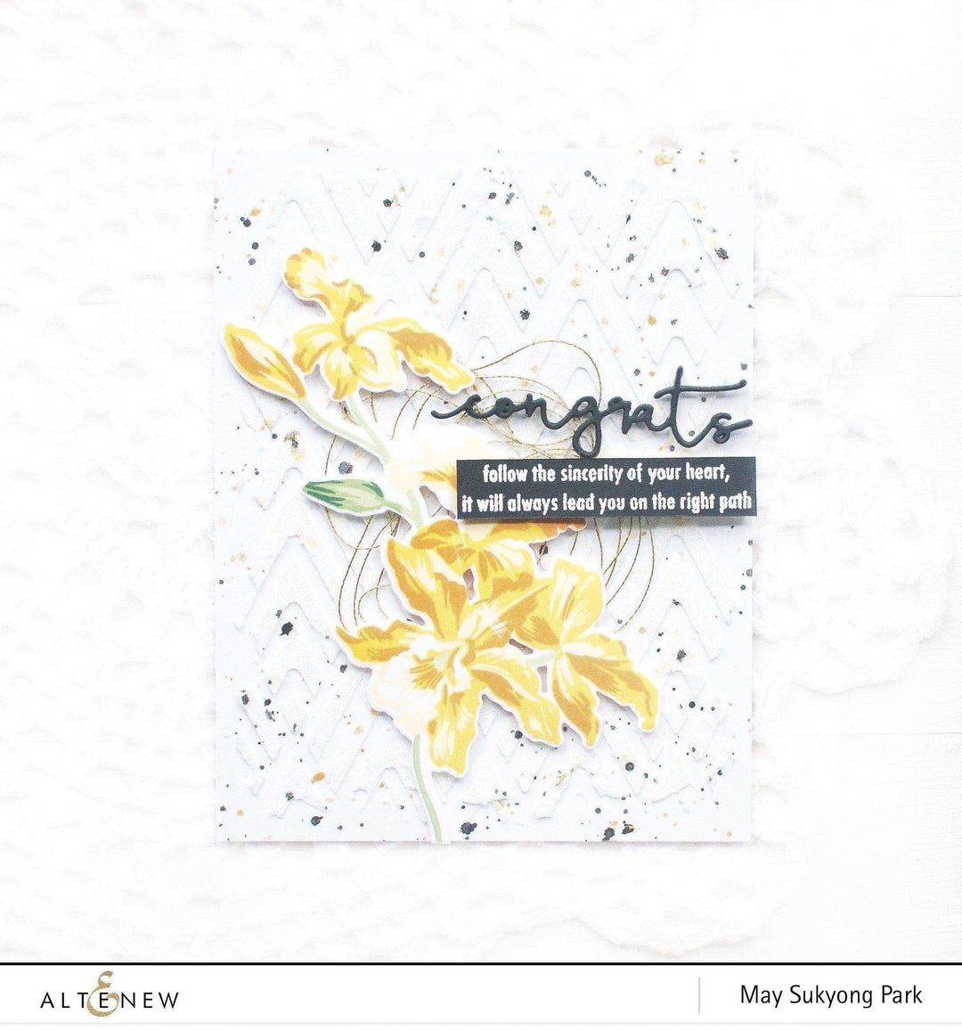 Ink Bundle Summer Afternoon Fresh Dye Ink
