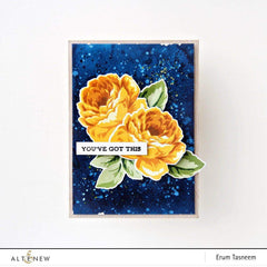 Ink Bundle Summer Afternoon Fresh Dye Ink