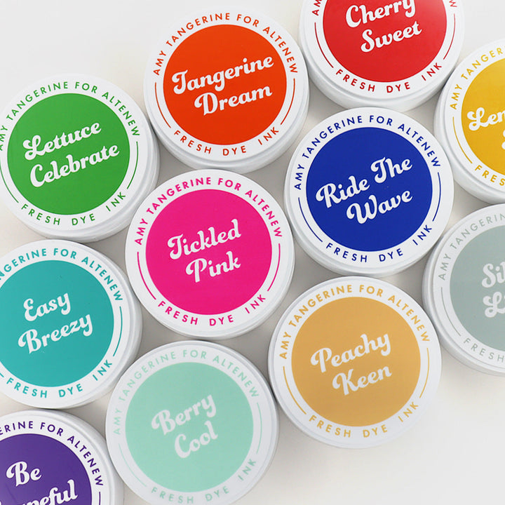 Ink Bundle Summer Dreams Fresh Dye Ink