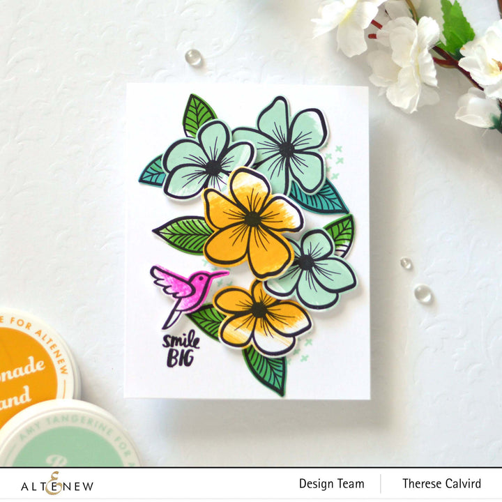 Ink Bundle Summer Dreams Fresh Dye Ink