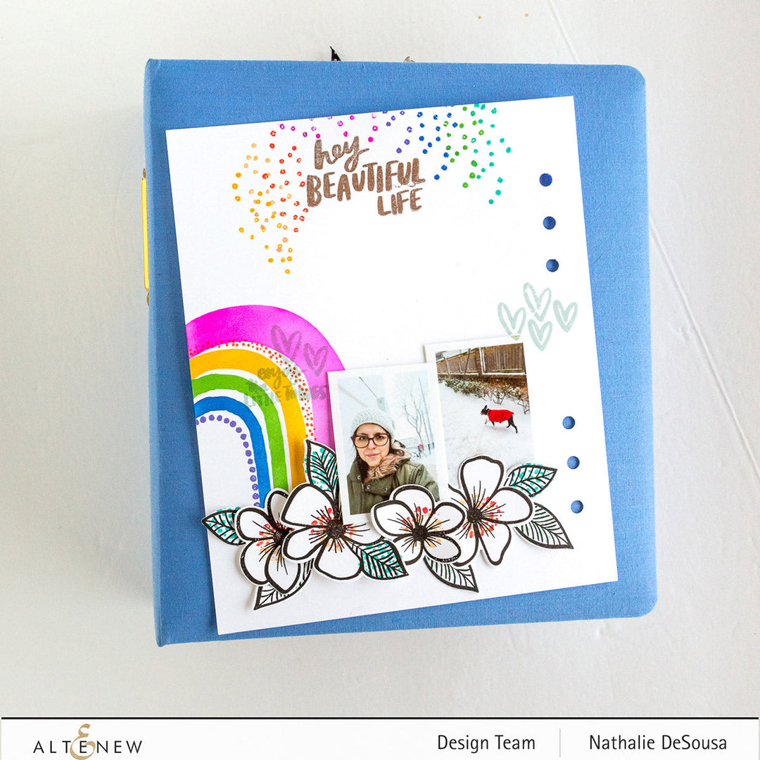 Ink Bundle Summer Dreams Fresh Dye Ink