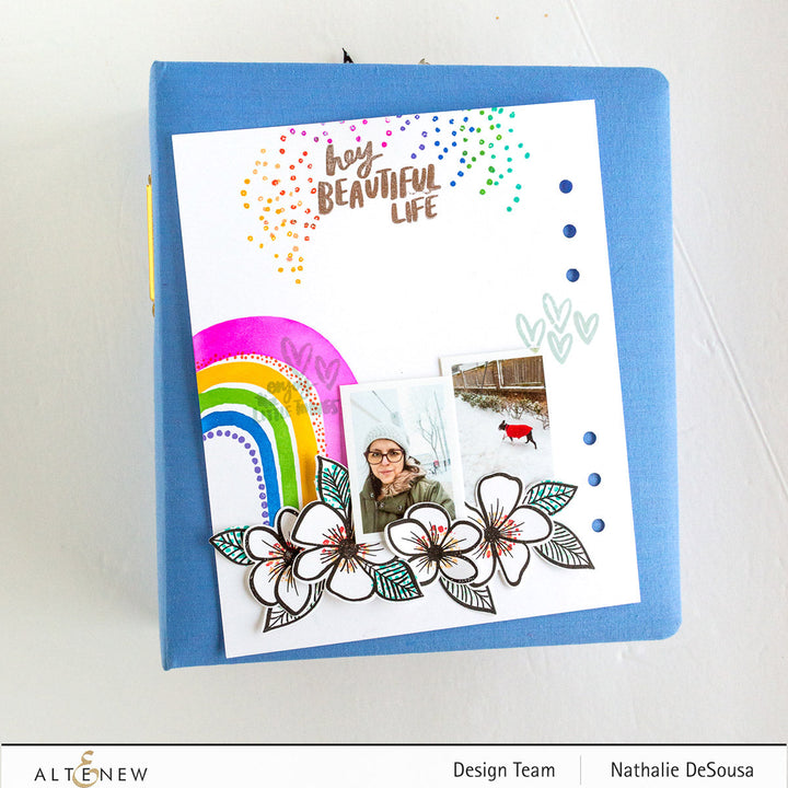 Ink Bundle Summer Dreams Fresh Dye Ink