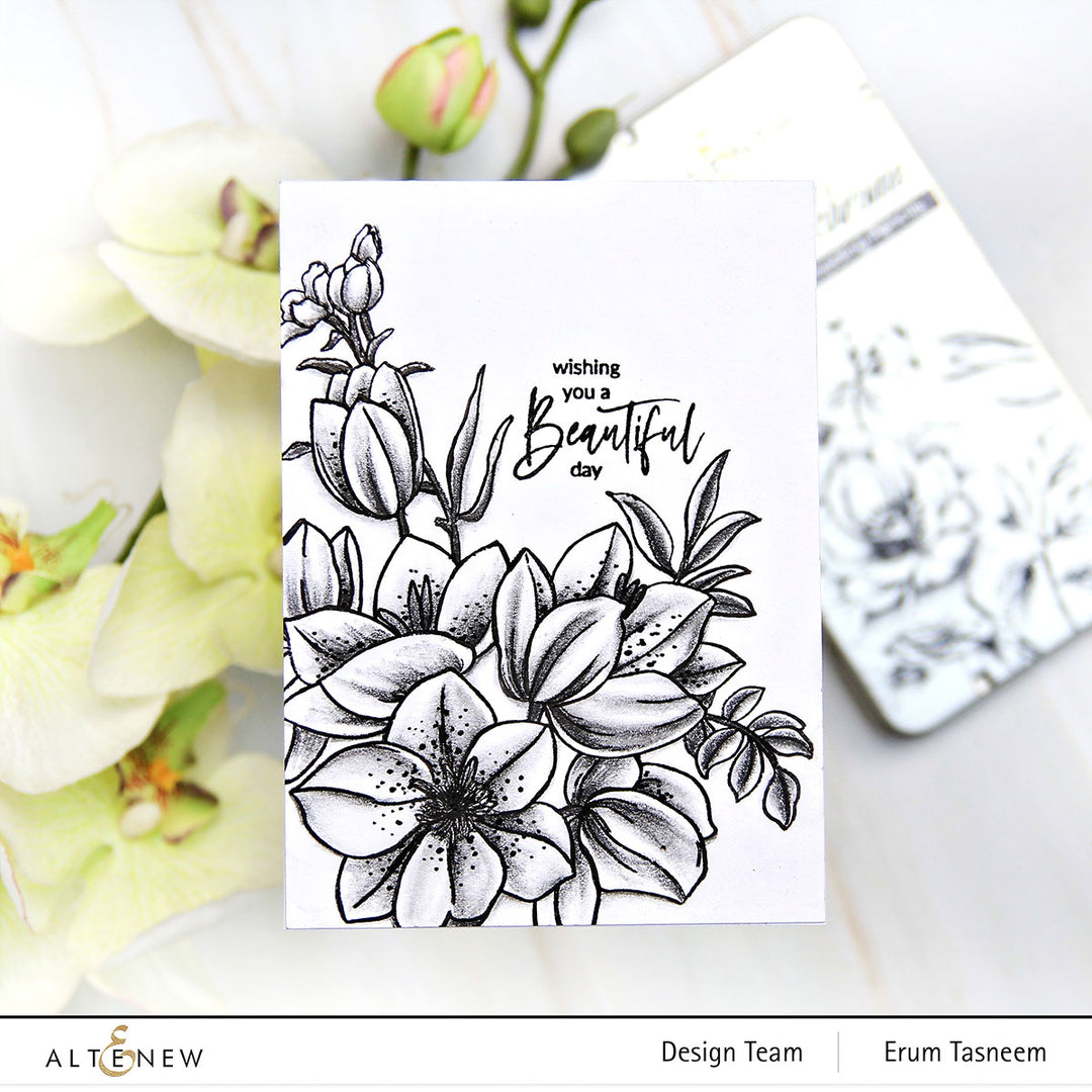 Kit Welcome Package for Artistry