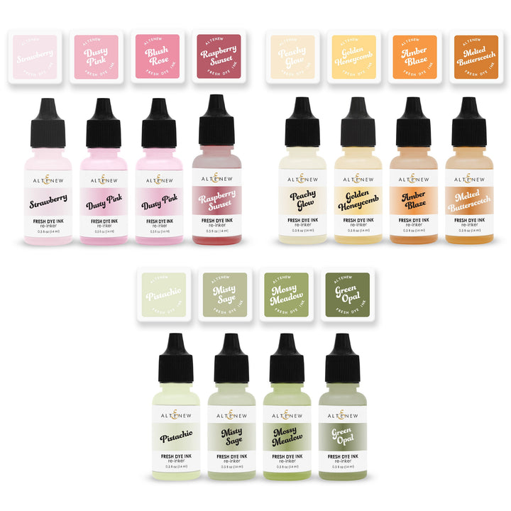 Mini Cubes & Reinker Bundle Botanical Brilliance Fresh Dye Ink Mini Cube & Re-inker Bundle