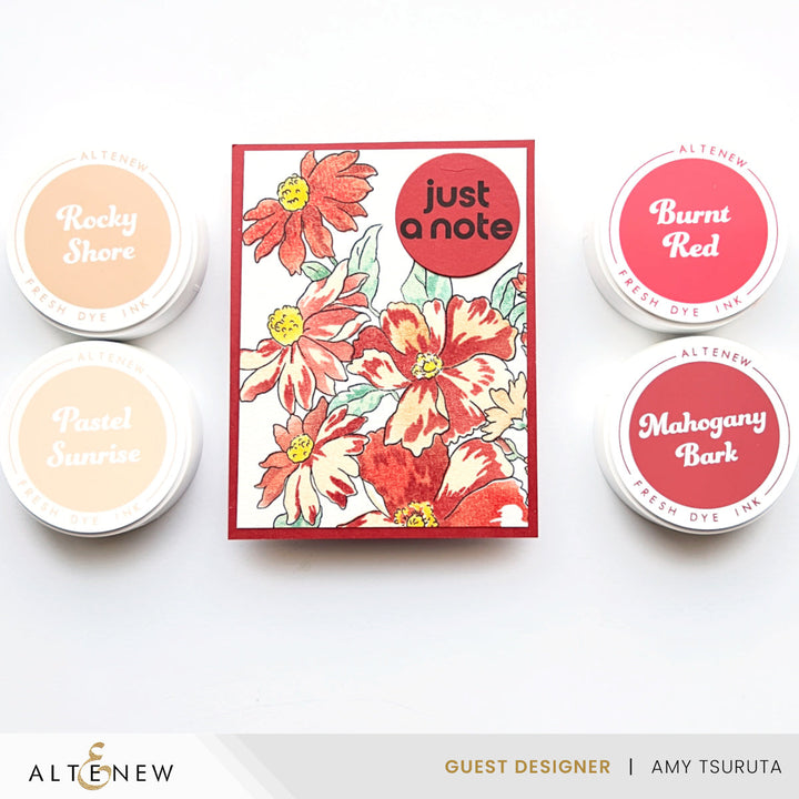 Mini Cubes & Reinker Bundle Martian Terrain Fresh Dye Ink Mini Cube & Re-inker Bundle