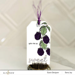 Mini Delight Mini Delight: Berry Sweet Stamp & Die Set