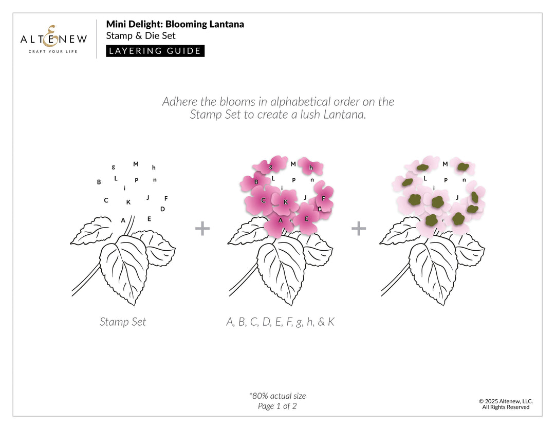 Mini Delight Mini Delight: Blooming Lantana Stamp & Die Set