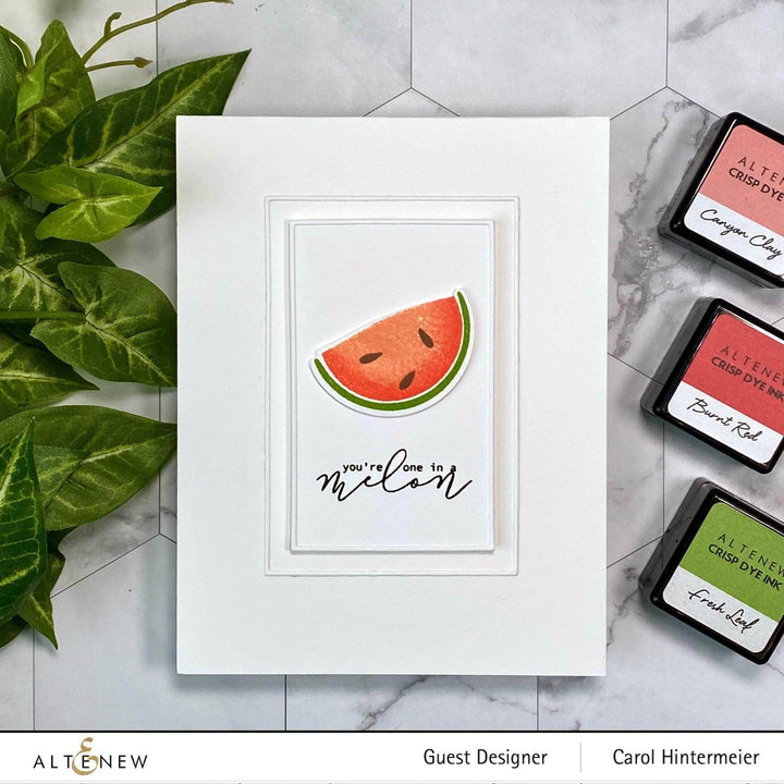 Mini Delight Mini Delight: One in a Melon Stamp & Die Set
