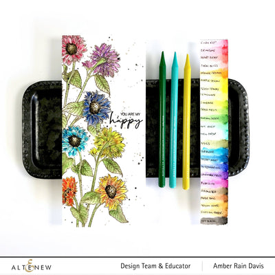 PAF & Watercolor Pencil & Brushes & Paper Set Sunny Doodles Woodless Watercolor Pencils Bundle
