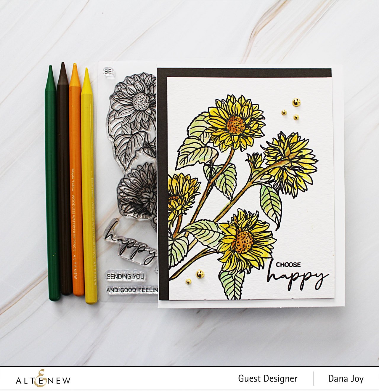 PAF & Watercolor Pencil & Brushes & Paper Set Sunny Doodles Woodless Watercolor Pencils Bundle