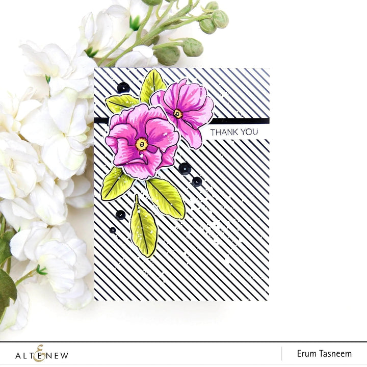 Pattern Paper Essential Black & White 6x6 Paper Pack