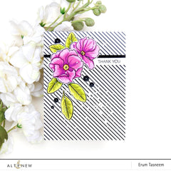 Pattern Paper Essential Black & White 6x6 Paper Pack