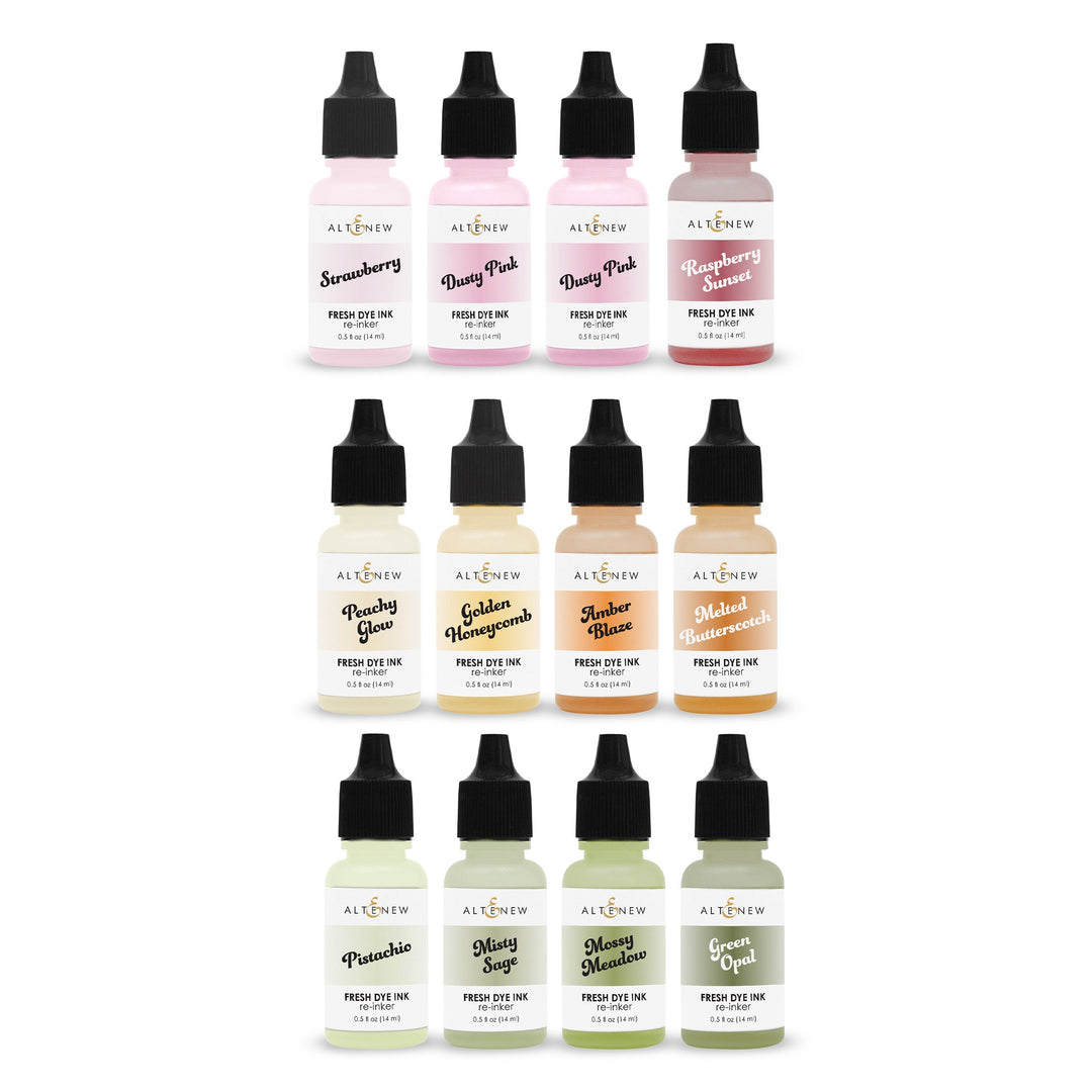 Re-inker Bundle Botanical Brilliance Fresh Dye Ink Re-inker Bundle