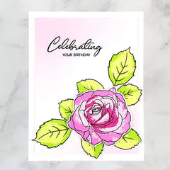 Re-inker Bundle Fond Appreciation Dye Ink Re-inker Bundle