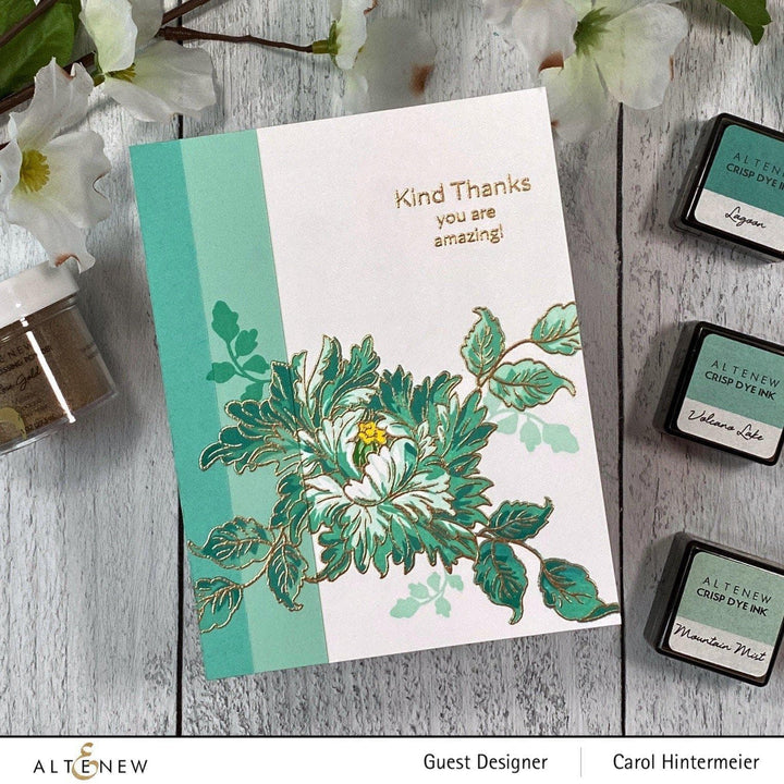 Re-inker Bundle Nature's Essence Re-inker Bundle