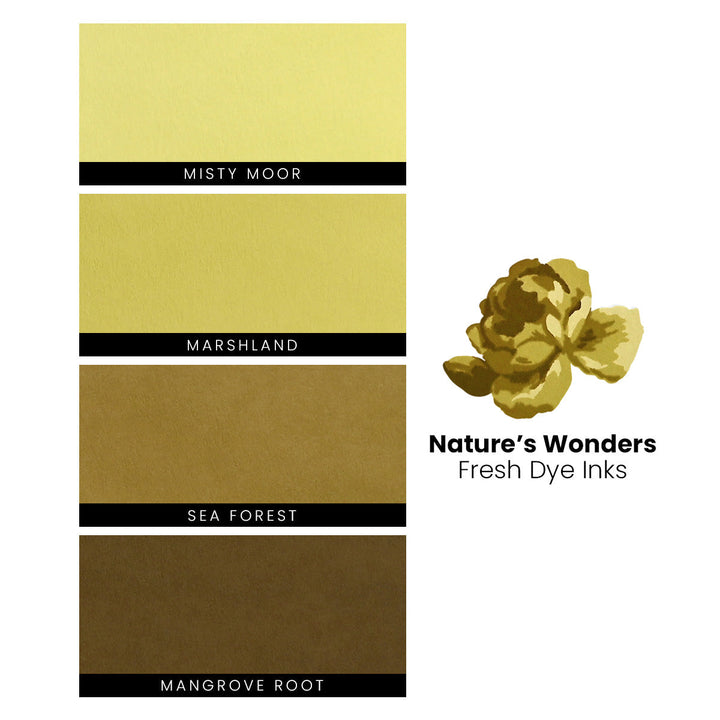 Re-inker Bundle Nature’s Wonders Fresh Dye Ink Re-inker