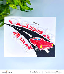 Re-inker Bundle Red Cosmos Crisp Dye Ink Re Inker