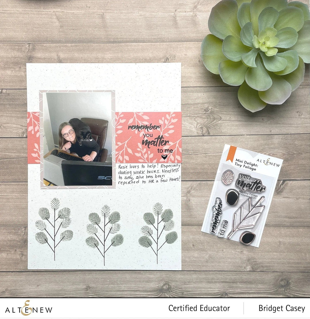 Re-inker Bundle Rock Collection Crisp Dye Ink Re Inker