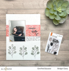 Re-inker Bundle Rock Collection Crisp Dye Ink Re Inker