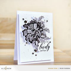 Re-inker Bundle Rock Collection Fresh Dye Ink Re-inker