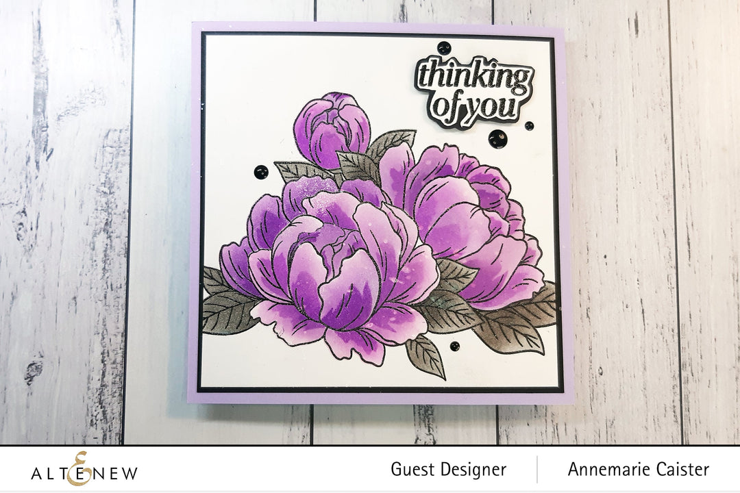 Re-inker Bundle Shades Of Purple Crisp Dye Ink Re Inker