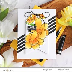 Re-inker Bundle Summer Afternoon Re Inker Set