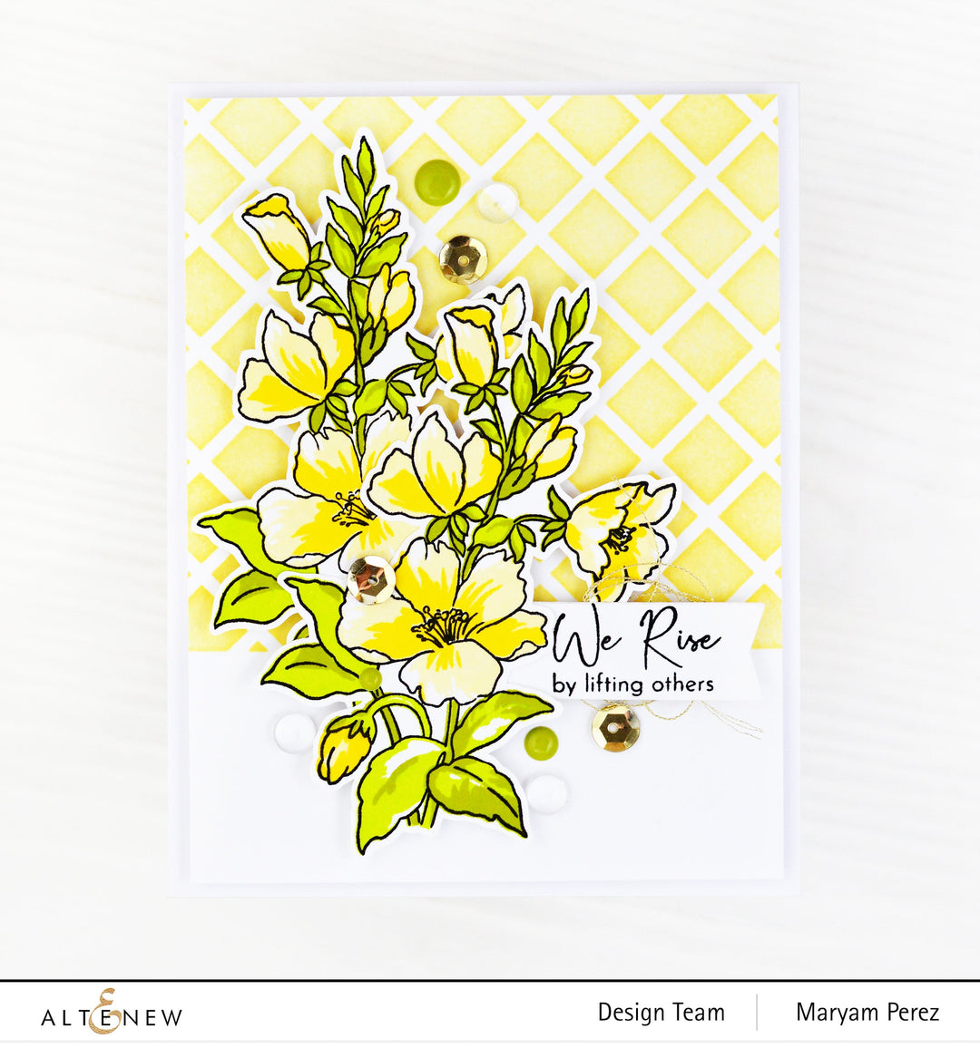 Re-inker Bundle Summer Afternoon Re Inker Set