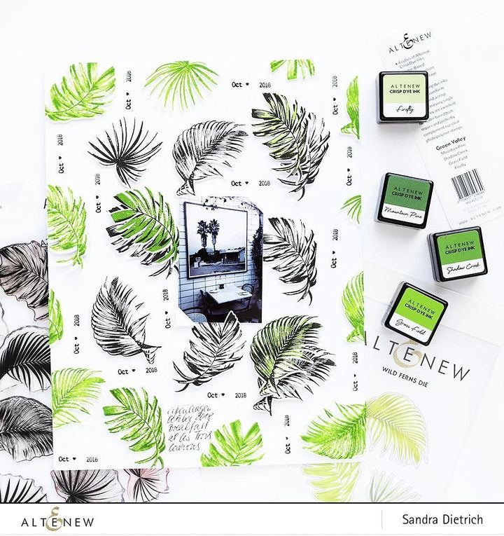 Re-inker Bundle Tropical Forest Crisp Dye Ink Re Inker