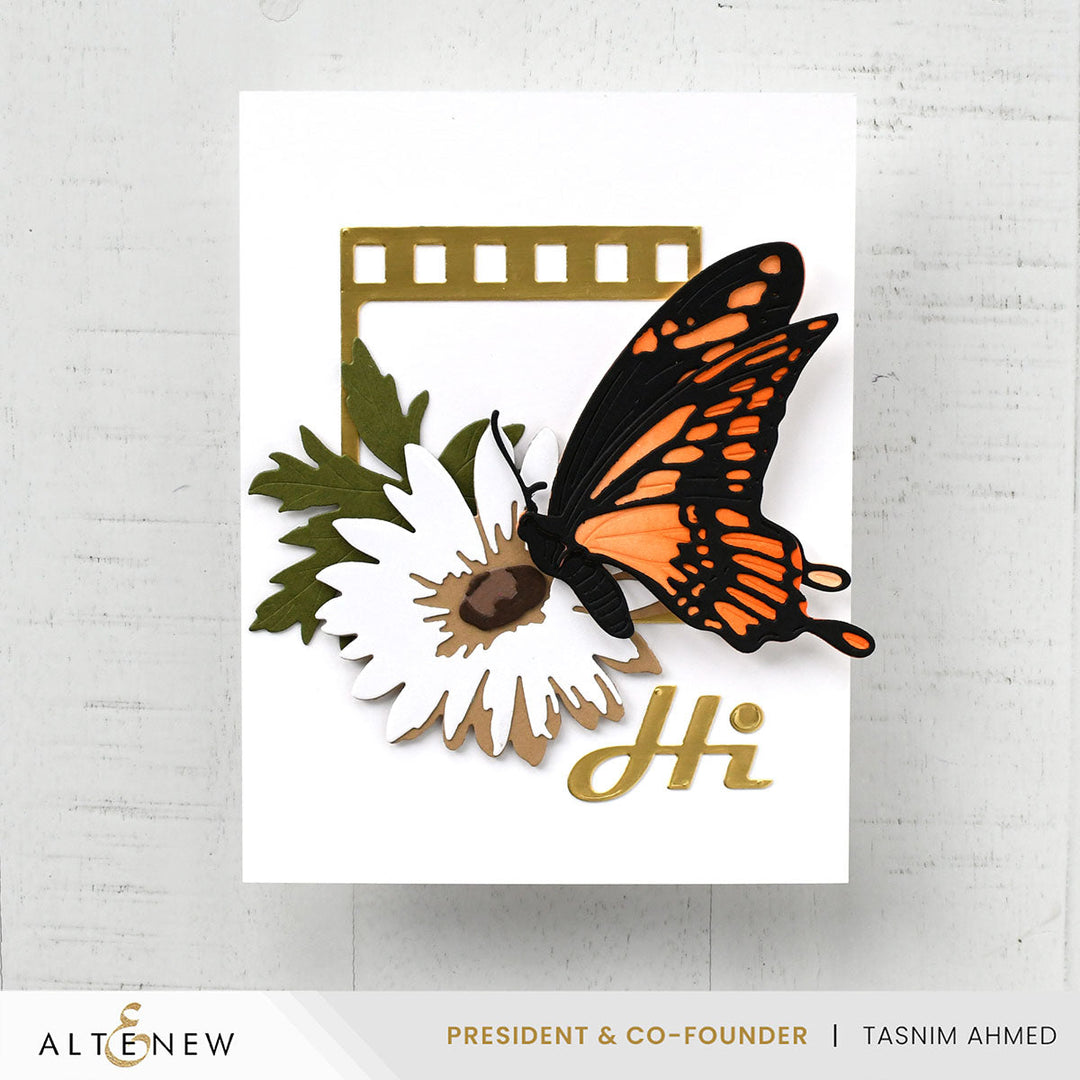 Release Bundle August 2024 Stand-alone Die Release Bundle