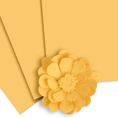 Release Bundle Crafty Necessities Cardstock Bundle