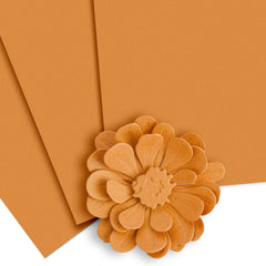 Release Bundle Crafty Necessities Cardstock Bundle